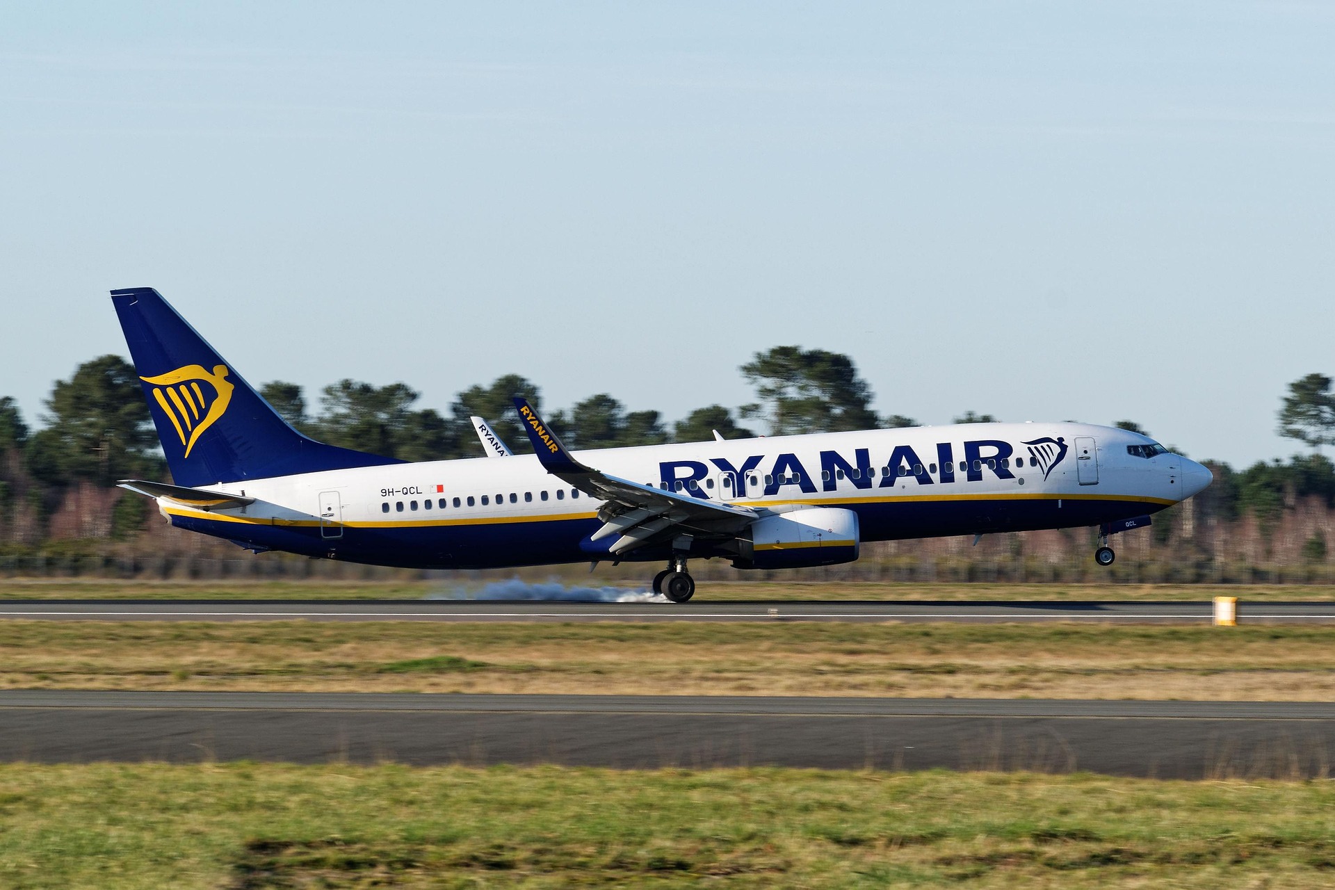 A Ryanair Boeing 737 passenger jet touches down on a runway, with a small puff of tire smoke visible beneath the main landing gear. The aircraft is painted in Ryanair’s blue, white, and yellow livery and is photographed side-on against a backdrop of trees under a clear sky. The nose is slightly raised as the plane completes its landing.