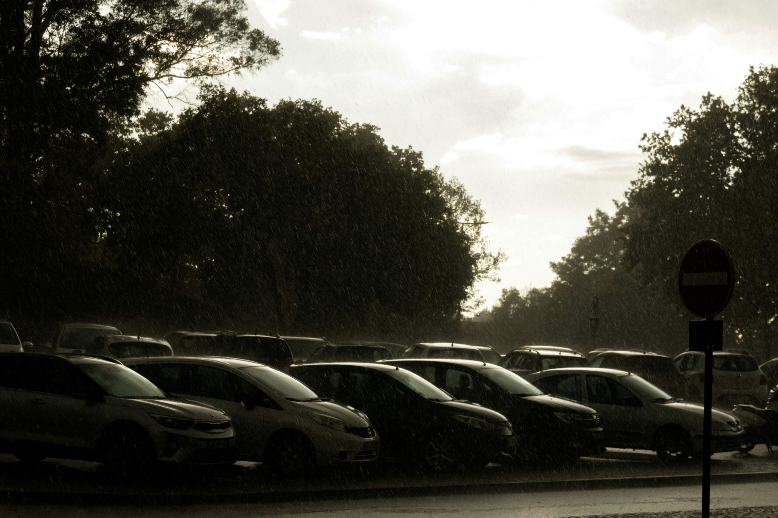 A row of cars is pictured from the front left at a 45 degree angle, all stationary in a car park. The colours in the image are muted and grey tinged. Trees can be seen in the background on the left and right, and in the centre a v of sky can be seen, which is grey and cloudy. 