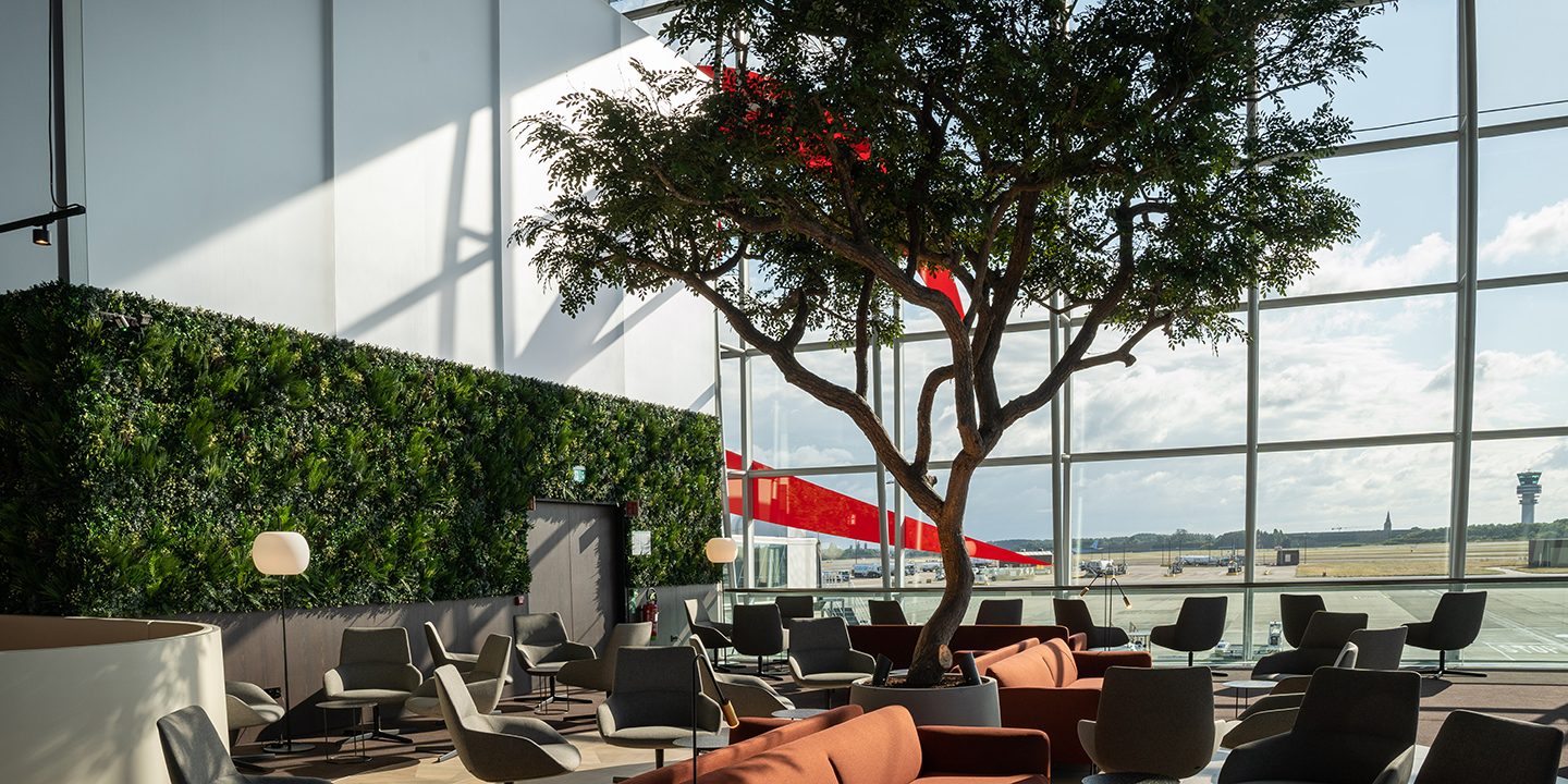 The sunrise lounge at Brussels Airport with greenery, seating and a large class window with a view of the tarmac and runway.