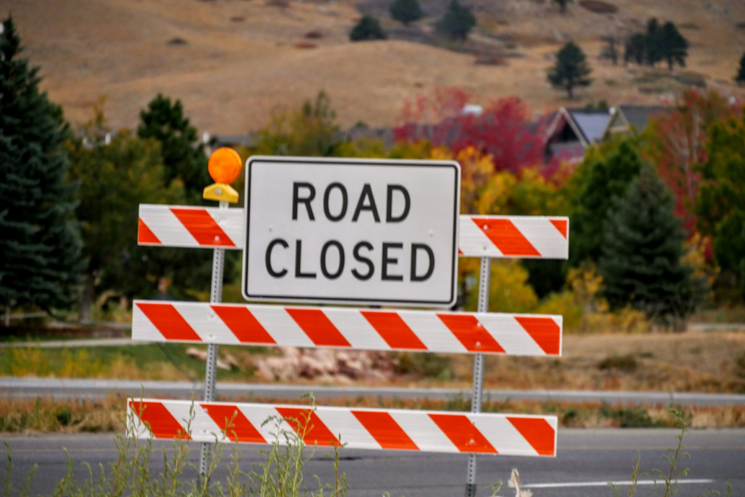 Pictured is a white sign that reads 'Road Closed' placed on an orange an white striped barrier signpost. The background is slightly stylistically blurred, showing tarmac road and a line of trees.