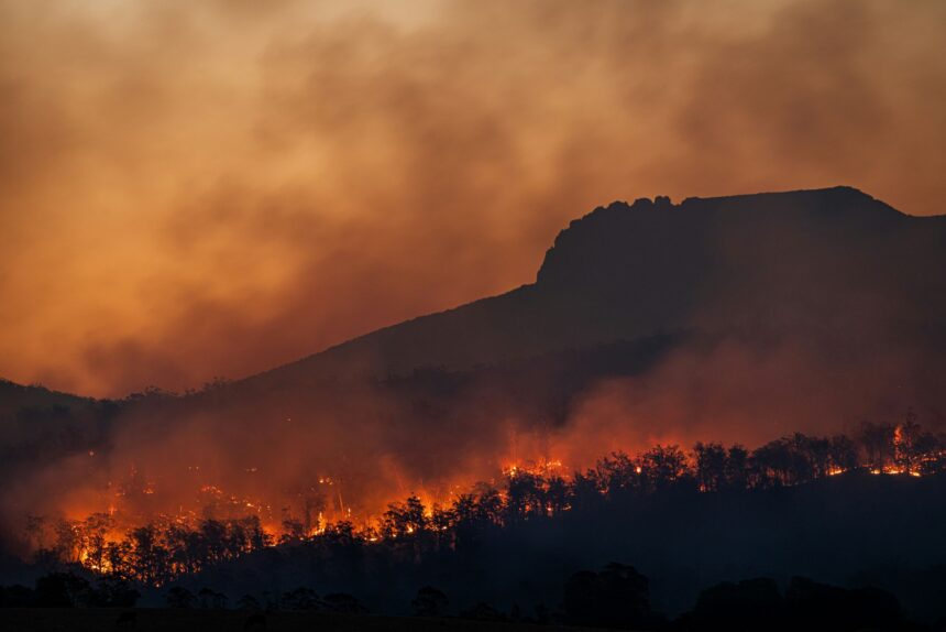 An image of a large wildfire in a forest with the silhouette of a mountain or large hill in the background. The sky in the background is orange and filled with smoke from the blaze.
