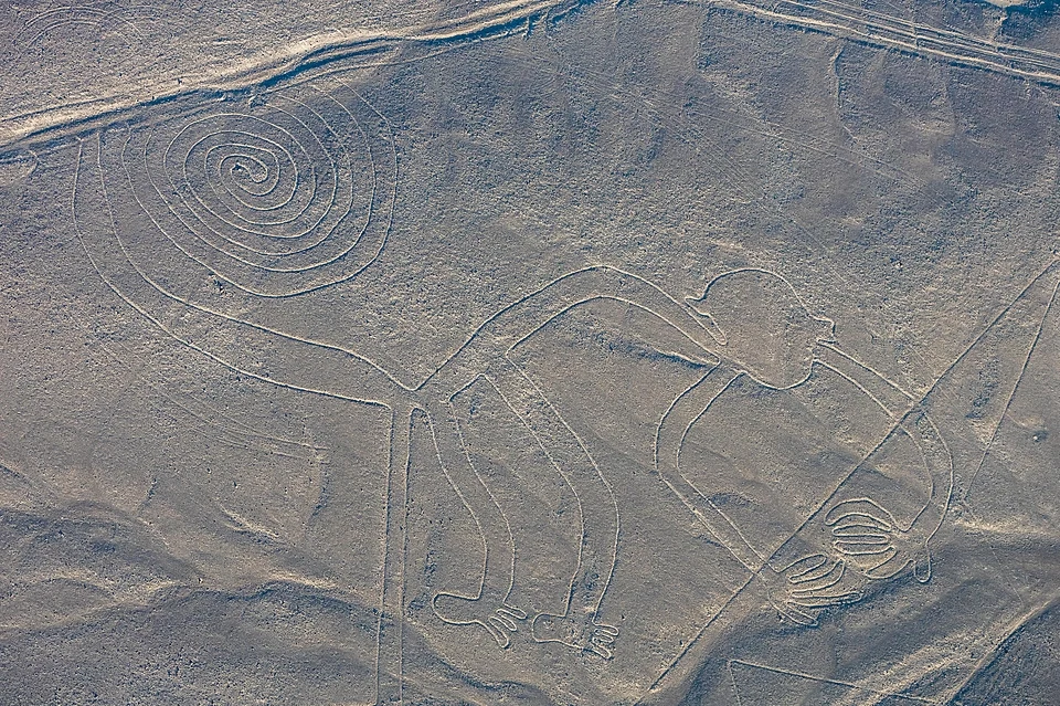 An overhead shot of the Nazca Lines located in Peru. This shows the outline of a monkey with a spiral tail.
