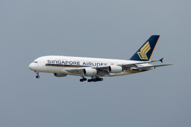 Singapore Airlines flight mid-air