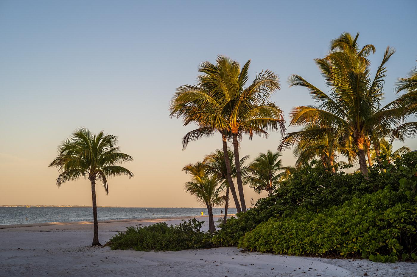 Palm trees and the coastline at Fort Myers Beach