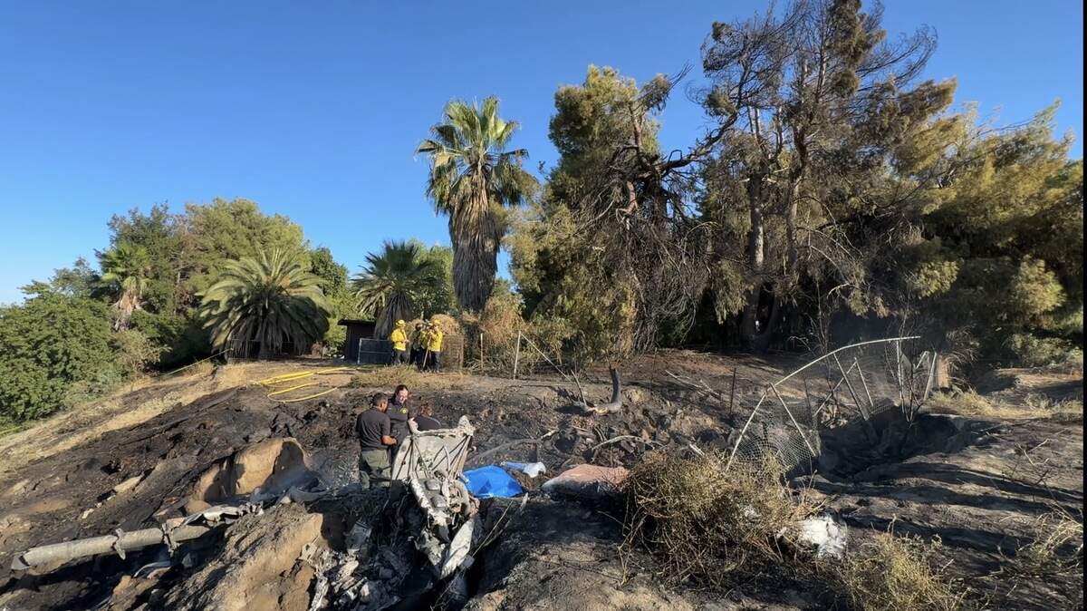 Emergency response workers are pictured over a powerline that was brought down during the incident. They are surrounded by trees under a blue sky.