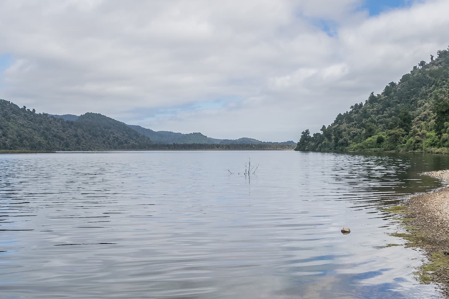 Photo shows Lake Moeraki, New Zealand with trees and hills in the background and the lake in the foreground.