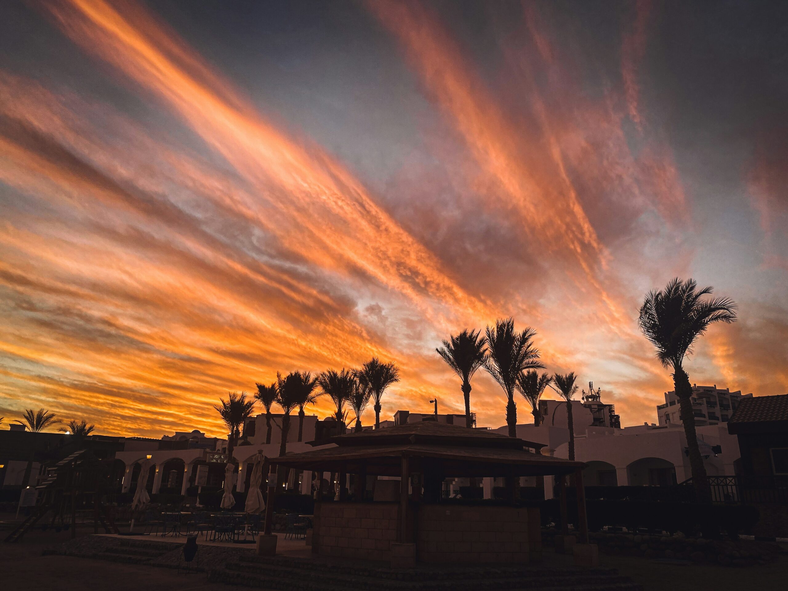 Palm trees and white buildings against the sunset