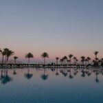 Palm trees against a pink and blue sky