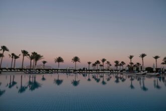 Palm trees against a pink and blue sky