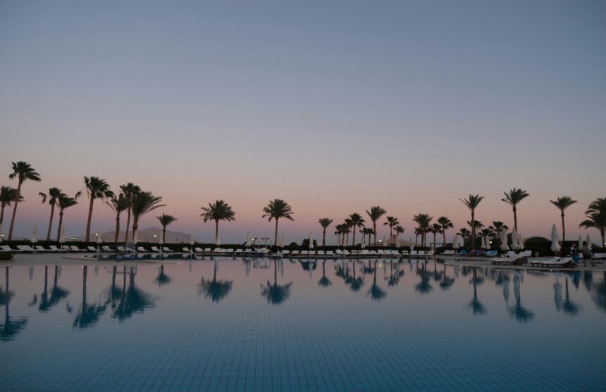 Palm trees against a pink and blue sky
