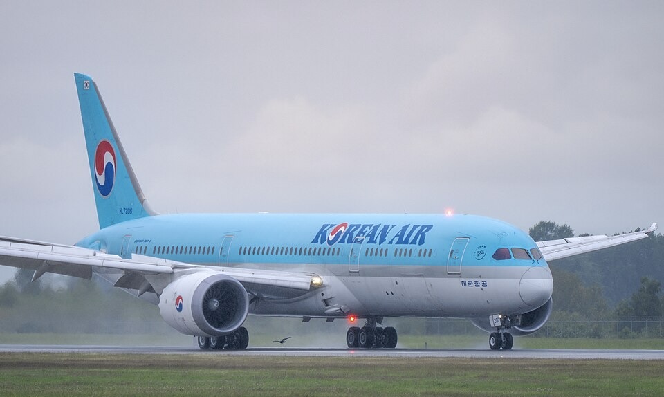 Light blue twin-engine jet on a wet runway under a grey, overcast sky, with a red and blue circular emblem on its tail and a small bird in flight below.