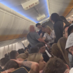 Screenshot from Harry Watson's video of the incident that shows the female cabin crew member trying to break up the fight.