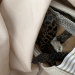 Non-venomous spotted python snake discovered on board an Australia flight 2019. © SPCA