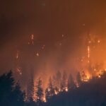 A forest is pictured engulfed in flames as fire can be seen arising from trees. The air is filled with a dark orange hue.
