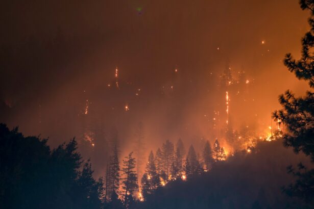 A forest is pictured engulfed in flames as fire can be seen arising from trees. The air is filled with a dark orange hue.