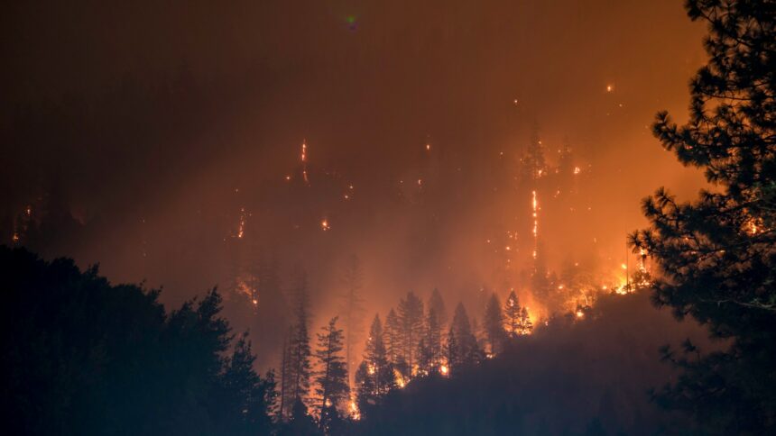 A forest is pictured engulfed in flames as fire can be seen arising from trees. The air is filled with a dark orange hue.